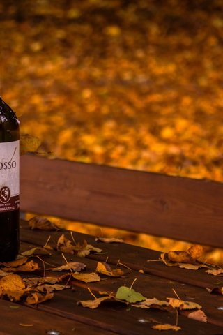 Обои листья, осень, вино, скамья, бутылка, leaves, autumn, wine, bench, bottle разрешение 2560x1707 Загрузить