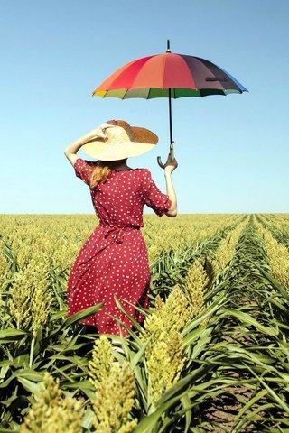 Обои девушка, зонт, шляпа, girl, umbrella, hat разрешение 1920x1080 Загрузить