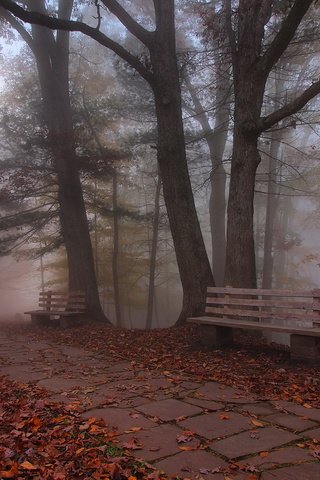 Обои деревья, листья, парк, осень, скамья, trees, leaves, park, autumn, bench разрешение 2048x1342 Загрузить