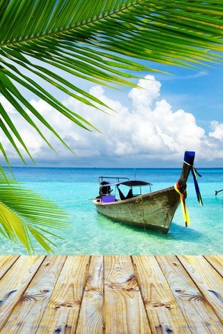 Обои пляж, лодки, пальмы, отдых, таиланд, beach, boats, palm trees, stay, thailand разрешение 2880x1800 Загрузить