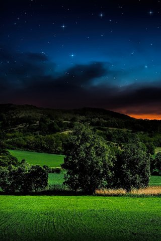 Обои небо, трава, ночь, горы, звезды, поле, горизонт, луна, the sky, grass, night, mountains, stars, field, horizon, the moon разрешение 2560x1600 Загрузить