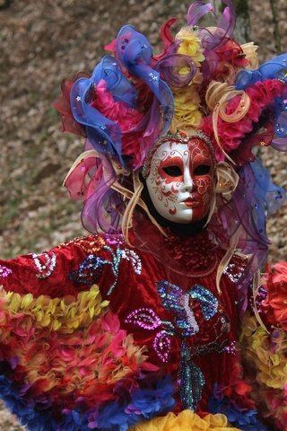 Обои маска, венеция, костюм, попугай, карнавал, mask, venice, costume, parrot, carnival разрешение 2400x1511 Загрузить