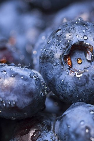 Обои макро, ягоды, черника, macro, berries, blueberries разрешение 2048x1365 Загрузить