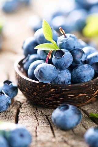 Обои ягоды, лесные ягоды, черника, парное, черничный, berries, blueberries, fresh, blueberry разрешение 2880x1922 Загрузить