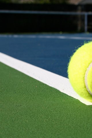 Обои тенис, спорт, мяч, теннис, бал, линейка, tennis, sport, the ball, ball, line разрешение 3234x2156 Загрузить