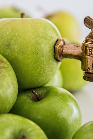 Обои фрукты, яблоки, зеленые, яблочный сок, смеситель, fruit, apples, green, apple juice, mixer разрешение 1920x1279 Загрузить