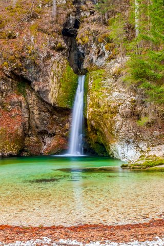 Обои камни, лес, скала, водопад, мох, словения, grmecica waterfall, bohinj, stones, forest, rock, waterfall, moss, slovenia разрешение 2700x1800 Загрузить