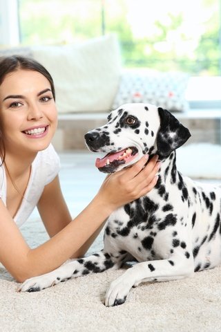 Обои девушка, улыбка, собака, далматин, cобака, dog-dalmatian-sobaka-dalmatin.jpg далматин, girl, smile, dog, dalmatian, dog-dalmatian-sobaka-dalmatin.jpg dalmatian разрешение 5648x3840 Загрузить