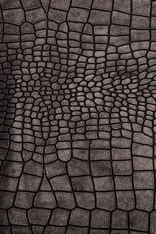 Обои текстура, фон, черный, кожа, блака, етекстура, crocodile skin, кожа крокодила, texture, background, black, leather, crocodile leather разрешение 5616x3744 Загрузить