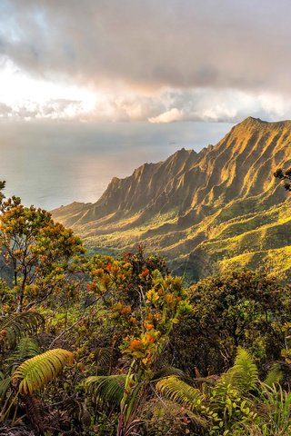 Обои облака, горы, побережье, океан, гавайи, clouds, mountains, coast, the ocean, hawaii разрешение 3000x2000 Загрузить