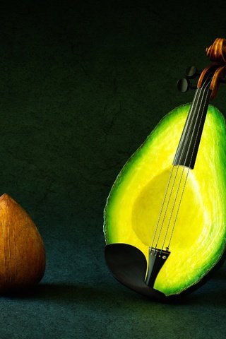Обои фон, скрипка, фрукты, фантазия, струны, авокадо, background, violin, fruit, fantasy, strings, avocado разрешение 2500x1787 Загрузить