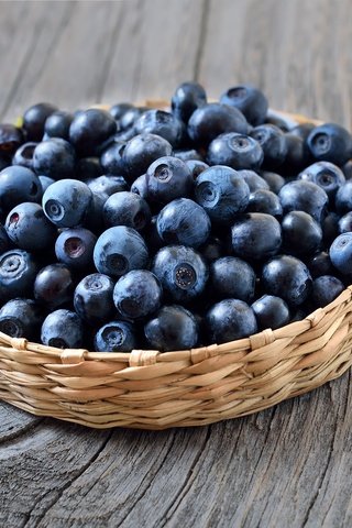 Обои ягоды, лесные ягоды, черника, голубика, парное, черничный, berries, blueberries, fresh, blueberry разрешение 3700x2394 Загрузить