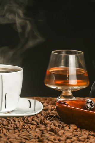 Обои зерна, кофе, чашка, кофейные зерна, коньяк, сигара, grain, coffee, cup, coffee beans, cognac, cigar разрешение 5709x3806 Загрузить