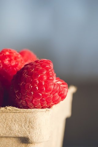 Обои макро, фон, малина, ягоды, macro, background, raspberry, berries разрешение 2048x1470 Загрузить