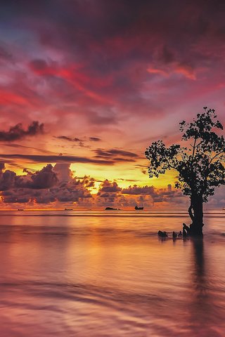 Обои облака, огни, вода, дерево, закат, отражение, корабли, clouds, lights, water, tree, sunset, reflection, ships разрешение 2048x1279 Загрузить