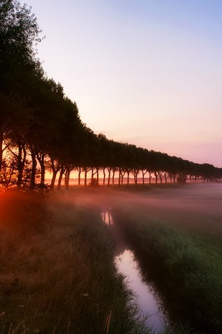 Обои трава, деревья, лучи, ручей, туман, рассвет, grass, trees, rays, stream, fog, dawn разрешение 1920x1200 Загрузить