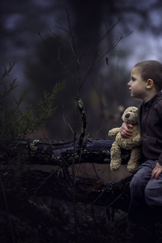 Обои лес, дети, мишка, игрушка, профиль, лицо, мальчик, forest, children, bear, toy, profile, face, boy разрешение 2048x1365 Загрузить