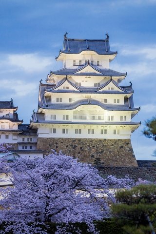 Обои вечер, замок, япония, весна, химэдзи, the evening, castle, japan, spring, himeji разрешение 2048x1365 Загрузить