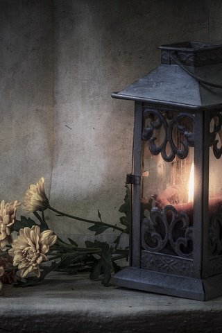 Обои цветы, стиль, фонарь, свеча, хризантемы, flowers, style, lantern, candle, chrysanthemum разрешение 3600x2384 Загрузить