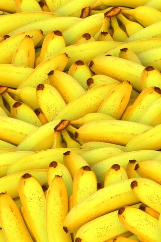 Обои фрукты, желтые, банан, бананы, fruit, yellow, banana, bananas разрешение 6000x4000 Загрузить