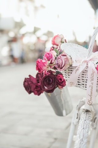 Обои цветы, розы, улица, велосипед, корзинка, flowers, roses, street, bike, basket разрешение 2500x1733 Загрузить