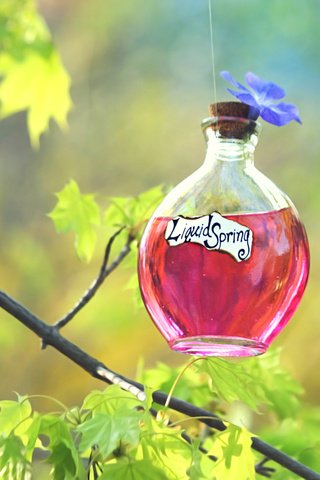 Обои природа, фон, бутылочка, флакон, настойка, зелье, эликсир, nature, background, bottle, tincture, potion, elixir разрешение 3840x2400 Загрузить