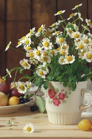 Обои цветы, фрукты, яблоки, ромашки, букет, натюрморт, сливы, flowers, fruit, apples, chamomile, bouquet, still life, plum разрешение 2880x1800 Загрузить