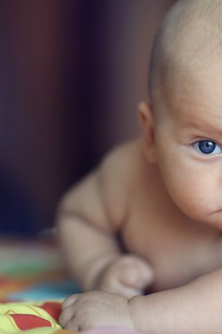 Обои глаза, портрет, взгляд, лежит, ребенок, малыш, мимика, eyes, portrait, look, lies, child, baby, facial expressions разрешение 4000x2667 Загрузить