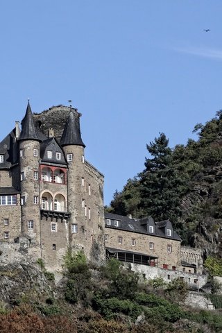 Обои пейзаж, замок, германия, castle katz, замок катц, санкт-гоарсхаузен, st. goarshausen, burg katz, landscape, castle, germany, saint goarshausen разрешение 4752x3168 Загрузить