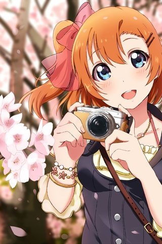 Обои улыбка, камера, love live, коусака гонока, sakura petals, smile, camera, kousaka honoka разрешение 2118x1500 Загрузить