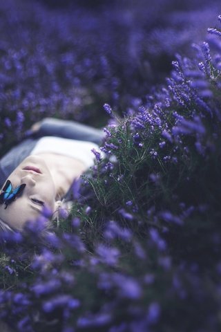 Обои цветы, девушка, настроение, бабочка, лицо, лежа, kindra nikole, flowers, girl, mood, butterfly, face, lying, delana nikole разрешение 2048x1208 Загрузить