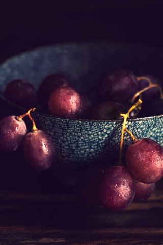 Обои фон, виноград, капли, ягоды, натюрморт, миска, background, grapes, drops, berries, still life, bowl разрешение 2499x1663 Загрузить