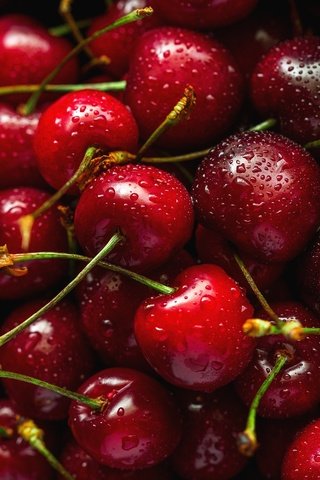 Обои фон, капли, черешня, ягоды, вишня, контейнер, background, drops, cherry, berries, container разрешение 3560x2003 Загрузить