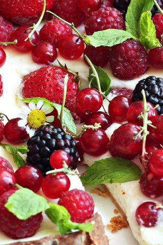 Обои малина, ромашки, ягоды, пирог, ежевика, смородина, raspberry, chamomile, berries, pie, blackberry, currants разрешение 2100x1332 Загрузить