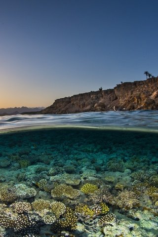 Обои небо, скалы, солнце, море, рассвет, побережье, под водой, кораллы, the sky, rocks, the sun, sea, dawn, coast, under water, corals разрешение 4000x2670 Загрузить