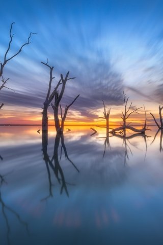 Обои деревья, озеро, отражение, австралия, южная австралия, lake bonney, trees, lake, reflection, australia, south australia разрешение 2048x1365 Загрузить