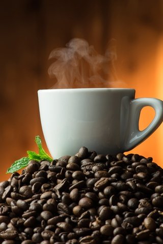 Обои фон, зерна, кофе, чашка, пар, кофейные зерна, совок, background, grain, coffee, cup, couples, coffee beans, scoop разрешение 6672x4912 Загрузить