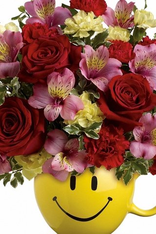 Обои цветы, букет, горшок, flowers, bouquet, pot разрешение 2560x1600 Загрузить