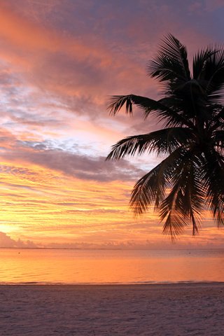 Обои закат, море, пляж, 1, sunset, sea, beach разрешение 5472x3648 Загрузить