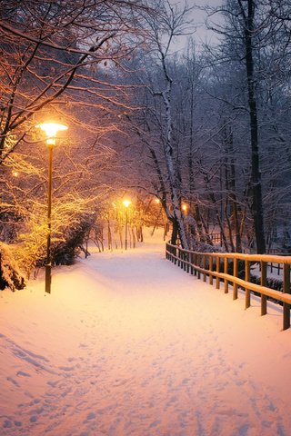 Обои свет, ночь, фонари, природа, зима, парк, mario zanella, light, night, lights, nature, winter, park разрешение 1920x1200 Загрузить