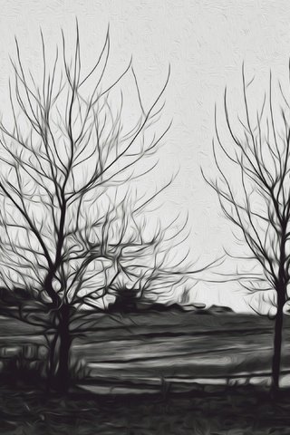 Обои деревья, пейзаж, чёрно-белое, силуэты, trees, landscape, black and white, silhouettes разрешение 3840x2160 Загрузить