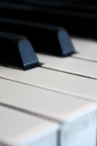 Обои макро, музыка, пианино, клавиши, macro, music, piano, keys разрешение 3888x2592 Загрузить