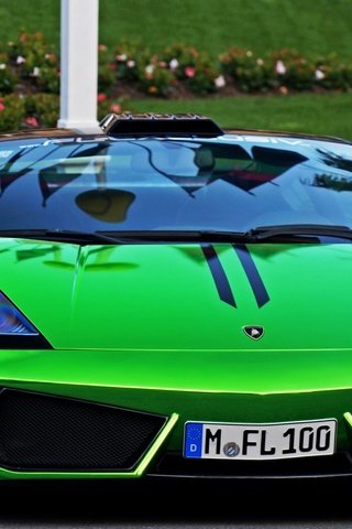 Обои зелёный, суперкары, тюнинг, ламборгини, суперкар, lp550-2, green, supercars, tuning, lamborghini, supercar разрешение 1920x1200 Загрузить