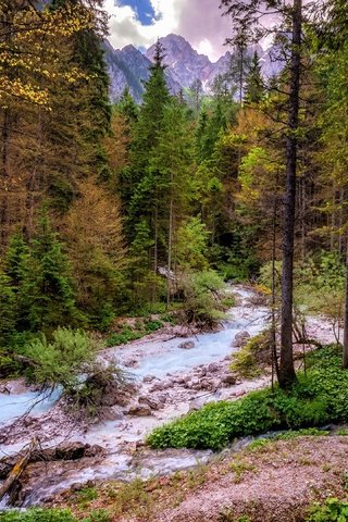 Обои деревья, горы, природа, лес, ручей, стволы, поток, trees, mountains, nature, forest, stream, trunks разрешение 3840x2160 Загрузить