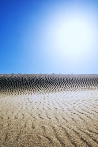 Обои солнце, природа, пейзаж, песок, пустыня, египет, the sun, nature, landscape, sand, desert, egypt разрешение 5840x3651 Загрузить
