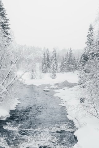 Обои река, лес, зима, river, forest, winter разрешение 2048x1300 Загрузить