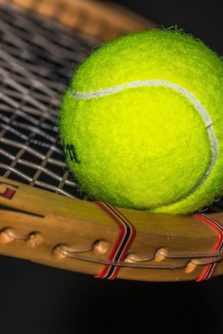 Обои спорт, мяч, ракетка, sport, the ball, racket разрешение 6000x4000 Загрузить