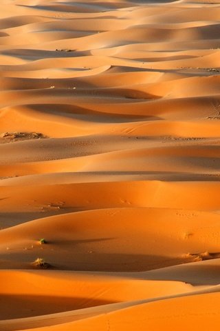 Обои песок, пустыня, бархан, sand, desert, barkhan разрешение 1920x1080 Загрузить