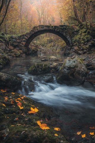 Обои река, мост, осень, river, bridge, autumn разрешение 2048x1300 Загрузить