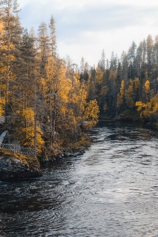 Обои река, лес, осень, дом, river, forest, autumn, house разрешение 2048x1366 Загрузить